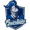 원정팀 - 푸방 가디언스 엠블럼