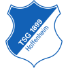 원정팀 - TSG 1899 호펜하임 엠블럼