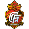원정팀 - 경남 FC 엠블럼