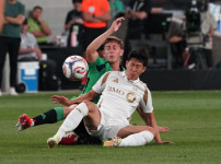 '[뉴스]'극명한 대조' 손흥민=필드골 0 행진→요리스=5경기 연속 무실점‥ 뉴스기사 썸네일